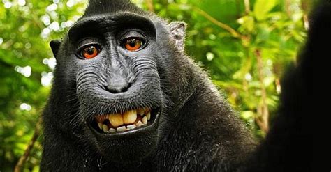 M­a­y­m­u­n­ ­S­e­l­f­i­e­­s­i­n­d­e­ ­T­e­l­i­f­ ­T­a­r­t­ı­ş­m­a­s­ı­